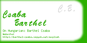 csaba barthel business card